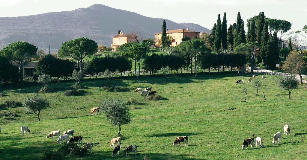 Poggiovalle Tenuta Italiana Belvedere  Exteriör bild